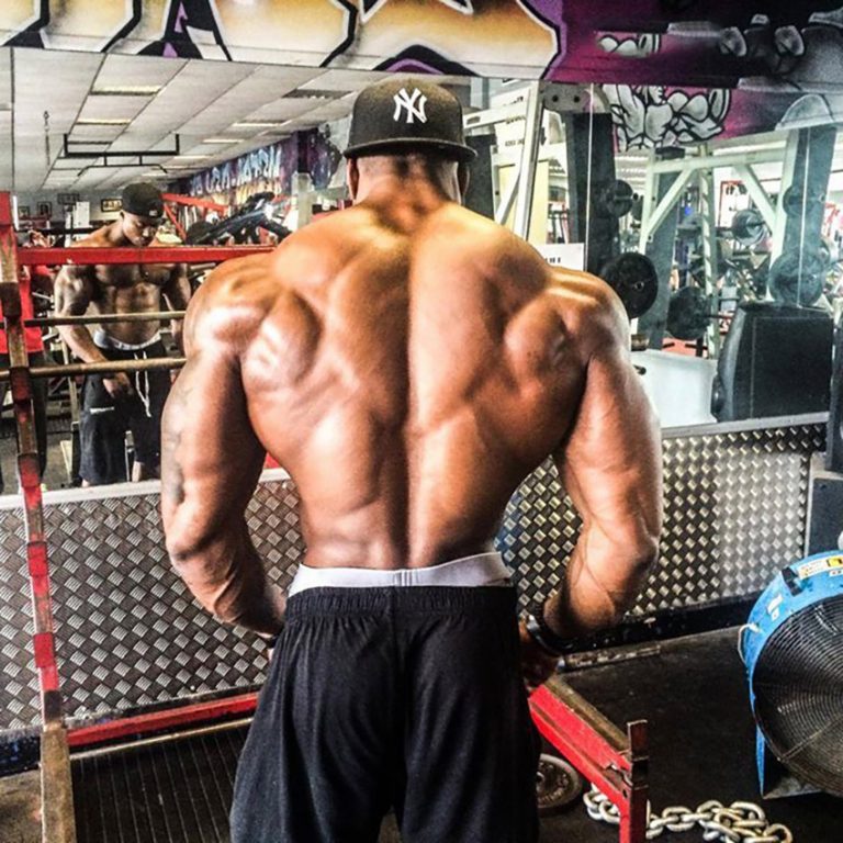 Simeon Panda спина