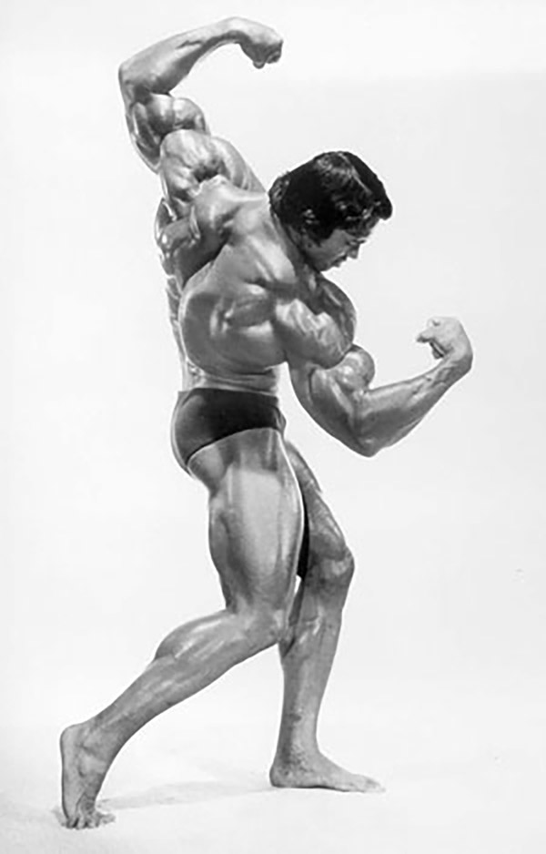 Young Arnold Schwarzenegger Photos - Arnold Bodybuilder Pictures