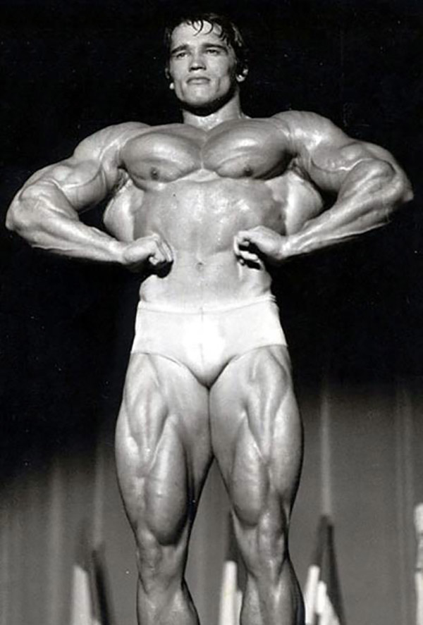 Mr. Olympia Realistic Upper Body Muscle Suit