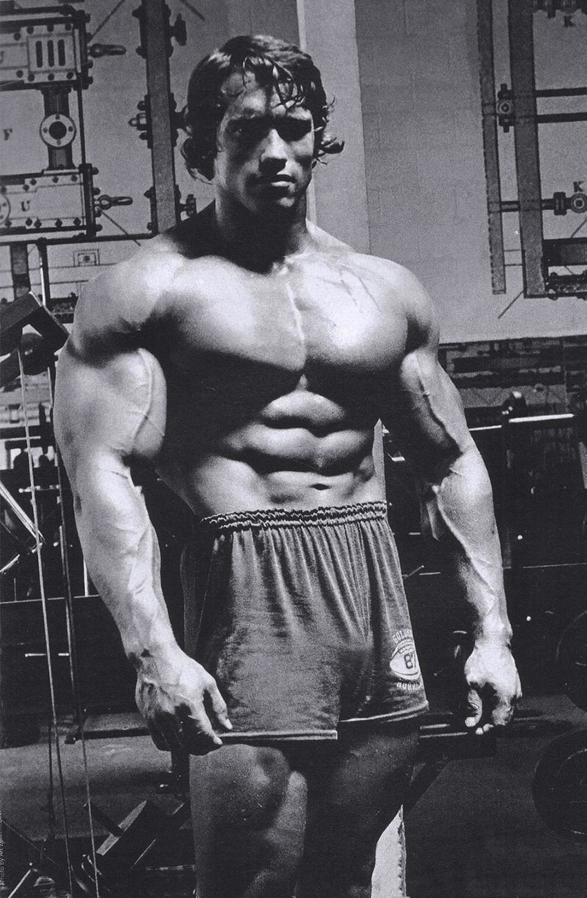 arnold schwarzenegger biceps size