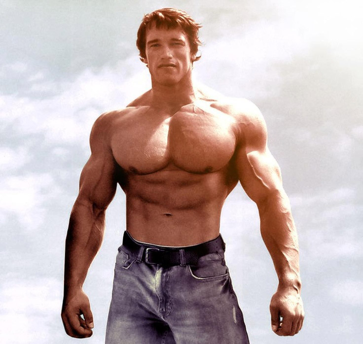 Arnold Schwarzenegger - Greatest Physiques