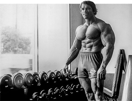 Arnold Schwarzenegger - Greatest Physiques