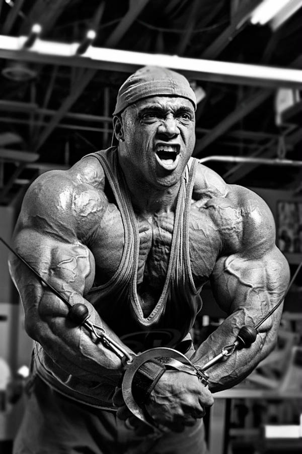 Dennis James Greatest Physiques