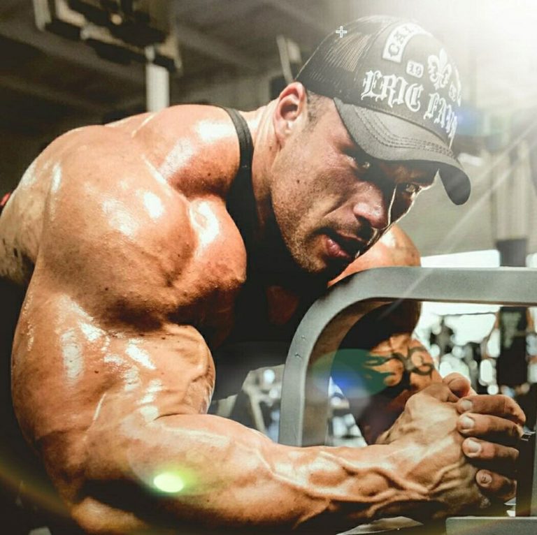 Aste Greatest Physiques