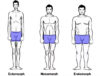 Somatotypes: Knowing Your Body Type & Debunking The Myth - Greatest ...