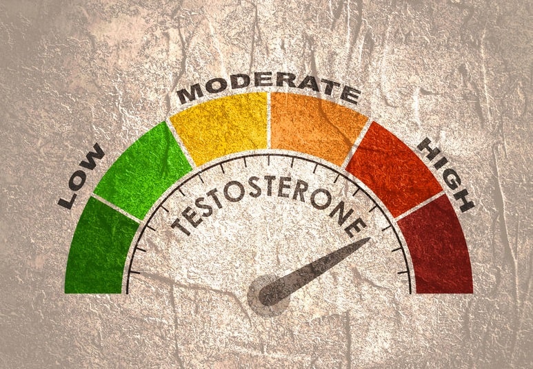 High Low Testosterone Normal Testosterone Levels By Age Greatest 